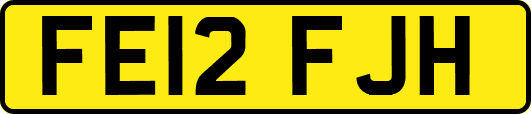 FE12FJH
