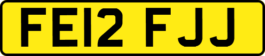 FE12FJJ