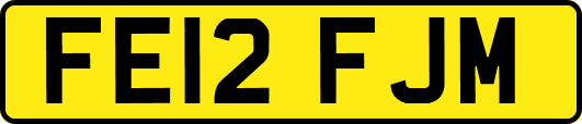 FE12FJM