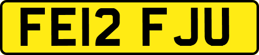 FE12FJU