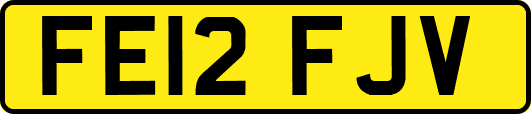 FE12FJV