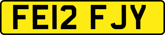 FE12FJY
