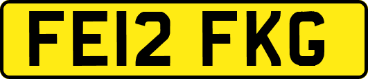 FE12FKG