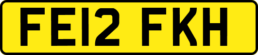 FE12FKH