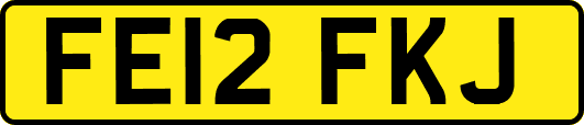 FE12FKJ
