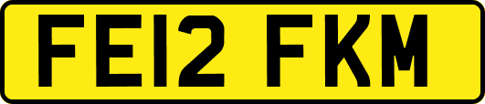 FE12FKM