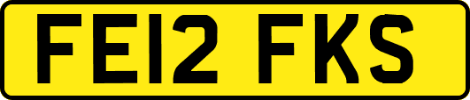 FE12FKS