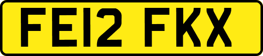 FE12FKX