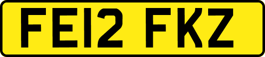 FE12FKZ