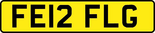 FE12FLG