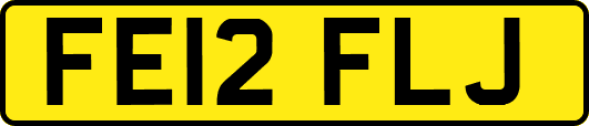 FE12FLJ