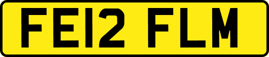 FE12FLM