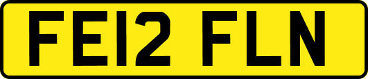 FE12FLN