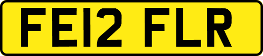 FE12FLR