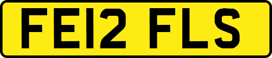 FE12FLS