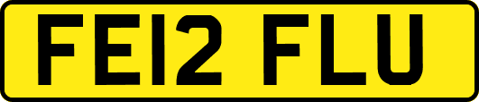 FE12FLU