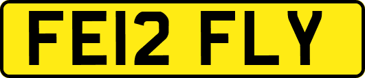 FE12FLY