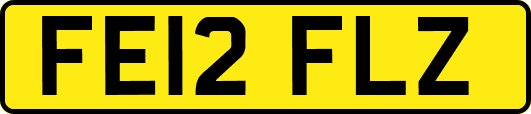FE12FLZ