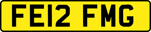 FE12FMG