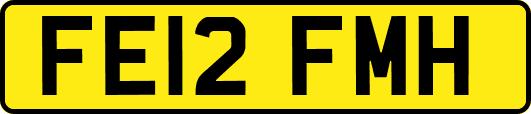 FE12FMH