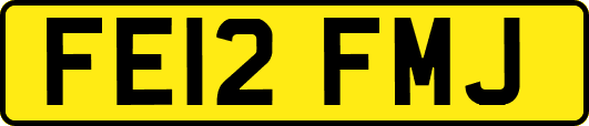 FE12FMJ