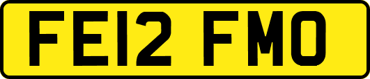 FE12FMO