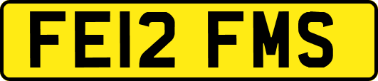 FE12FMS