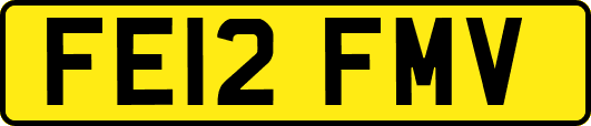 FE12FMV