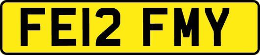 FE12FMY