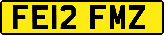 FE12FMZ