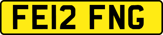 FE12FNG
