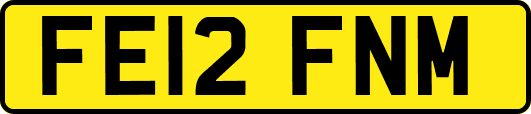 FE12FNM