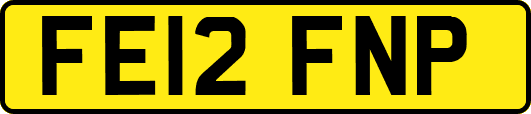 FE12FNP