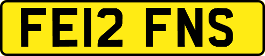 FE12FNS