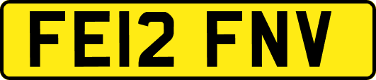 FE12FNV