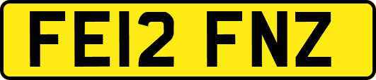 FE12FNZ
