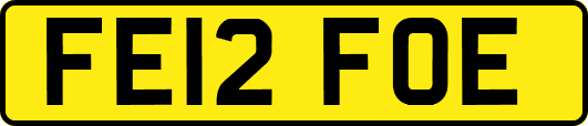 FE12FOE