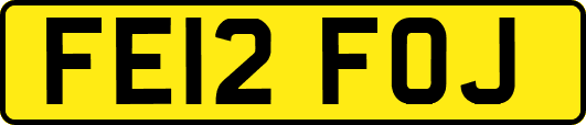 FE12FOJ
