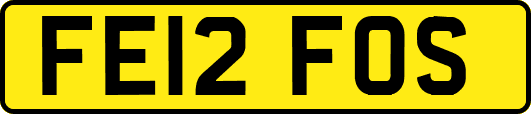 FE12FOS