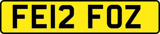 FE12FOZ