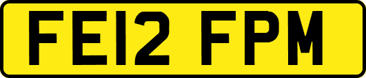 FE12FPM