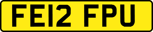 FE12FPU