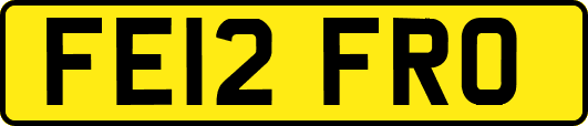 FE12FRO
