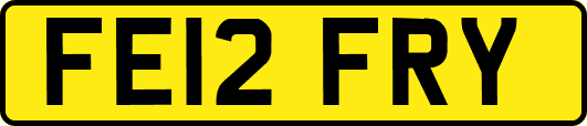 FE12FRY