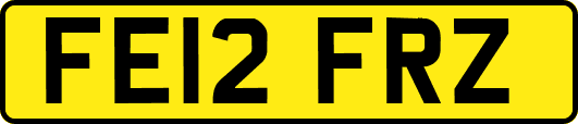 FE12FRZ