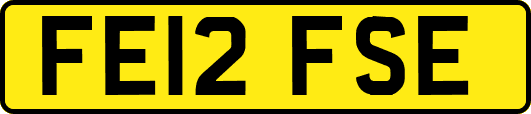 FE12FSE