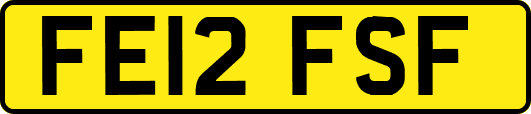 FE12FSF