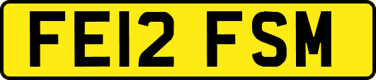 FE12FSM
