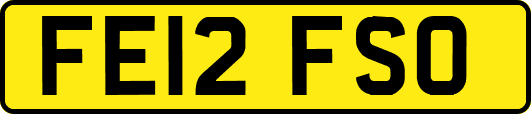 FE12FSO