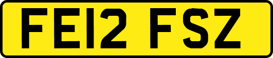 FE12FSZ